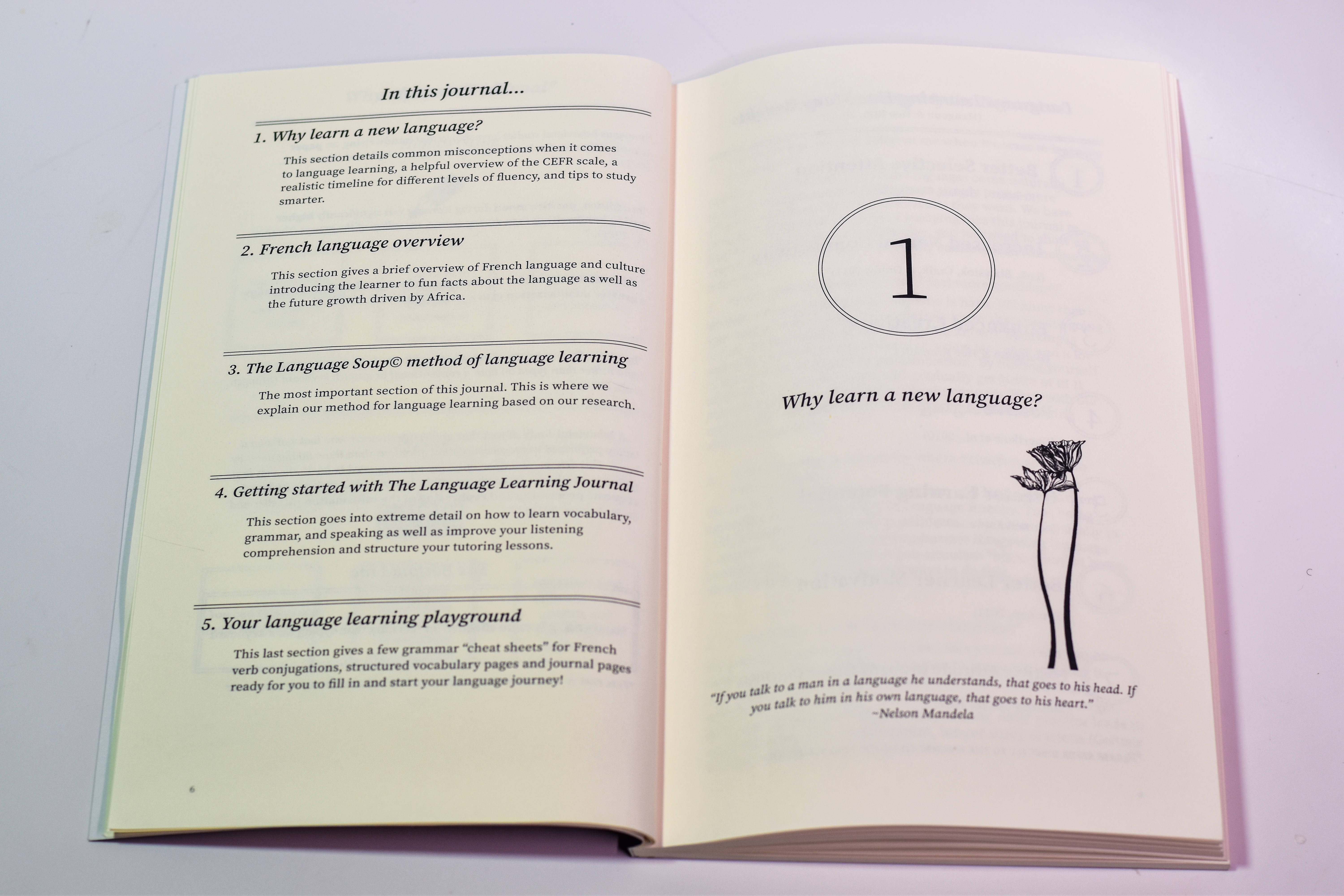 Chapter sample page